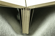Bolted Book